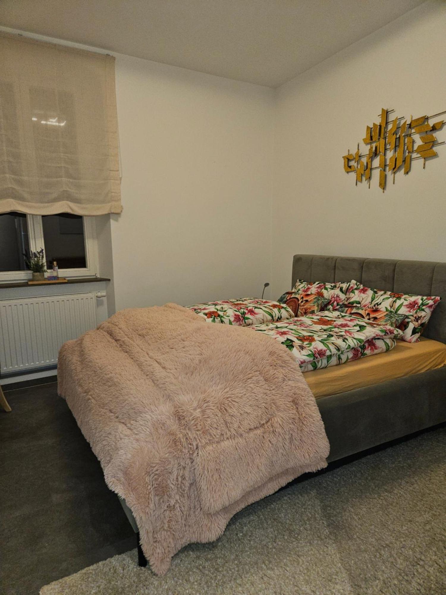 Apartment Olymp